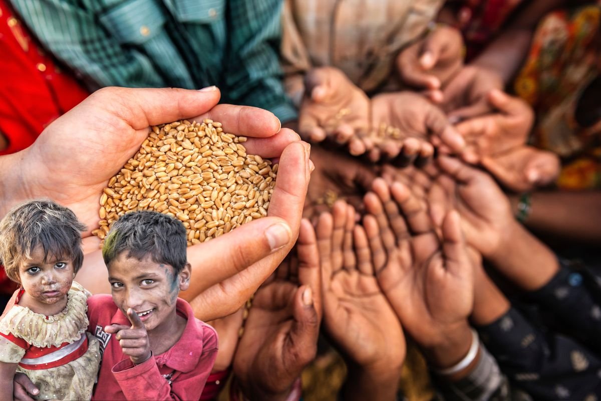 Untitled design (45)